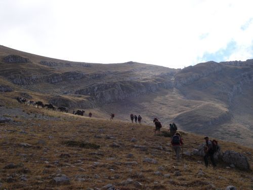 trekking con i muli-37.jpg